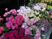 鳥取県倉吉市の花屋　花はあんどう