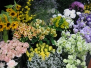 鳥取県倉吉市の花屋　花はあんどう