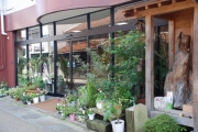 鳥取県倉吉市の花屋　花はあんどう