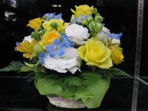img_28631