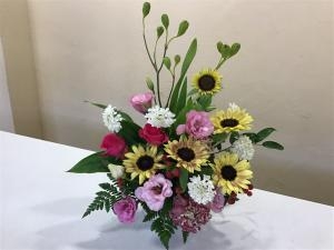 img_18951