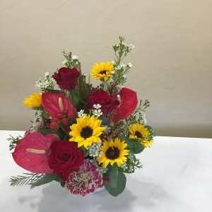 img_19041