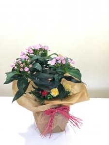 img_19111