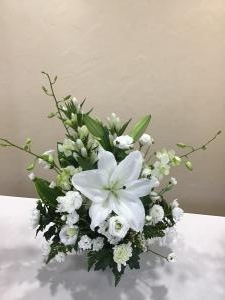 img_19201