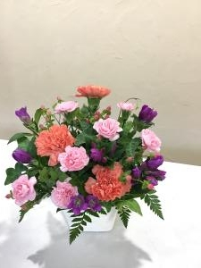 img_19381