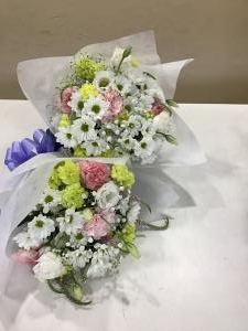 img_19661
