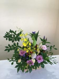 img_19751