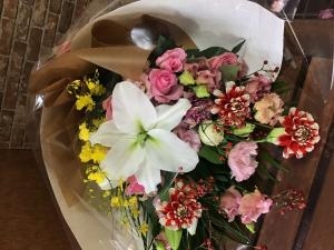 img_204111