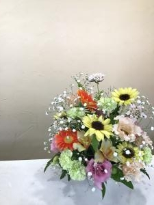 img_20551