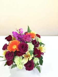 img_20631