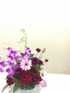img_20741