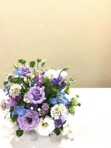 img_20791