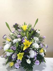 img_304111