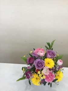 img_26761