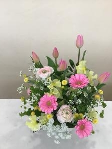 img_26811