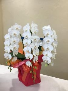img_27141