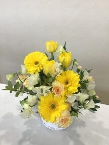 img_27221