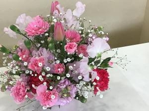 img_27251