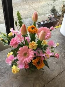 img_27331