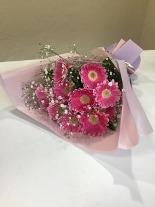 img_27541
