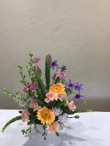 img_27561