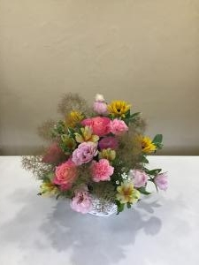 img_31901
