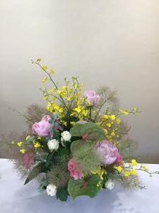 img_320311