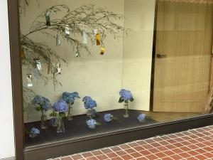 img_27491
