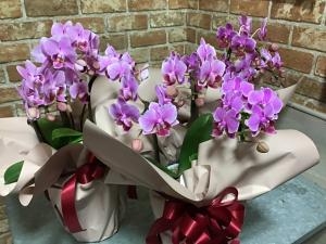 img_50611