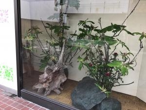 img_50951