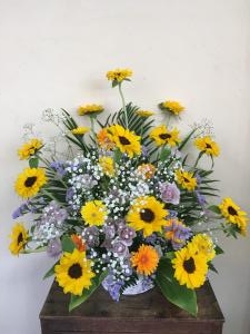 img_61251