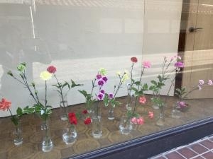 img_33691