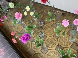 img_33711