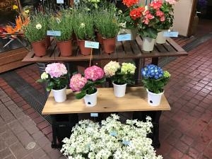 img_51731