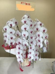 img_5218-2