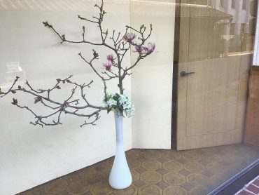店横ディスプレイ｜「花はあんどう」　（鳥取県倉吉市の花キューピット加盟店 花屋）のブログ