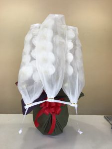 胡蝶蘭|「花はあんどう」　（鳥取県倉吉市の花屋）のブログ