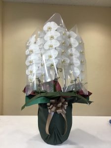 アレンジ　花束以外のお花です|「花はあんどう」　（鳥取県倉吉市の花屋）のブログ