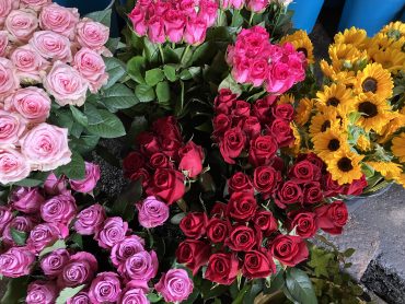 旬の花|「花はあんどう」　（鳥取県倉吉市の花屋）のブログ