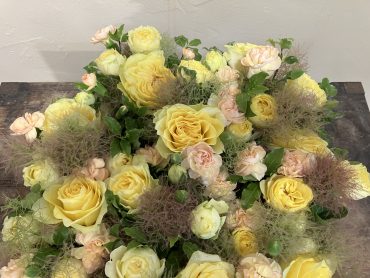 集合！！|「花はあんどう」　（鳥取県倉吉市の花屋）のブログ