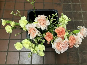 銀幕デビューか？？｜「花はあんどう」　（鳥取県倉吉市の花キューピット加盟店 花屋）のブログ