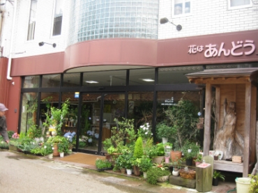 「花はあんどう」　（鳥取県倉吉市）の花屋店舗写真1